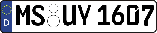 MS-UY1607