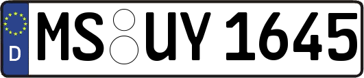 MS-UY1645