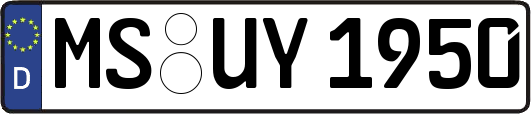 MS-UY1950