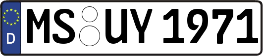 MS-UY1971