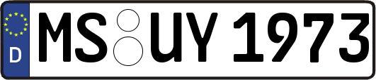 MS-UY1973