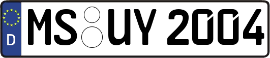 MS-UY2004