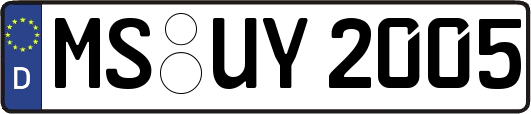 MS-UY2005