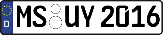 MS-UY2016
