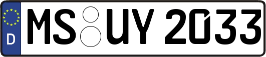 MS-UY2033