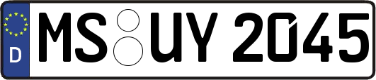 MS-UY2045