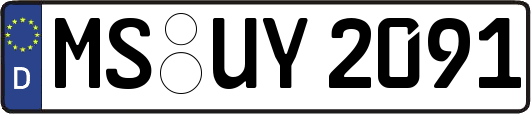 MS-UY2091