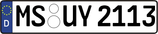 MS-UY2113