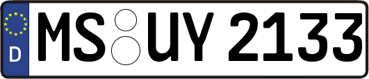 MS-UY2133