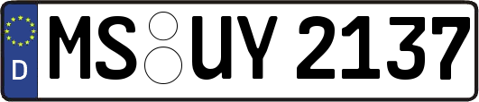 MS-UY2137