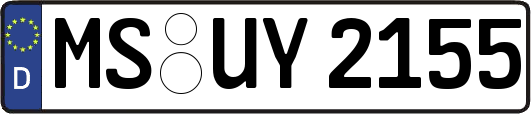 MS-UY2155