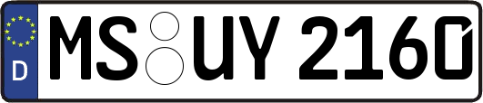 MS-UY2160