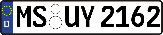 MS-UY2162