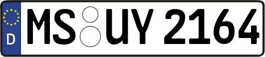 MS-UY2164