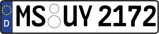 MS-UY2172