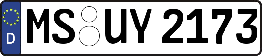 MS-UY2173