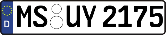 MS-UY2175