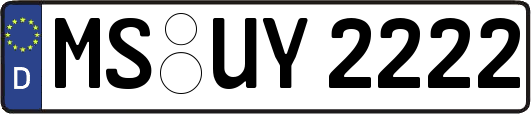 MS-UY2222