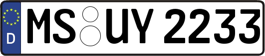 MS-UY2233