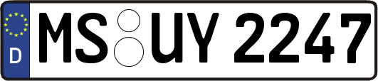 MS-UY2247