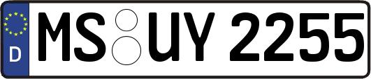 MS-UY2255