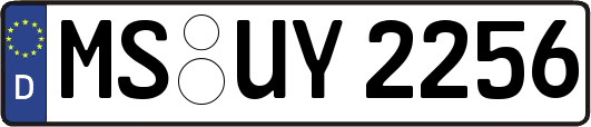 MS-UY2256