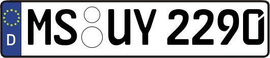 MS-UY2290
