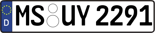 MS-UY2291