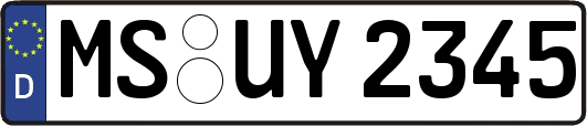 MS-UY2345
