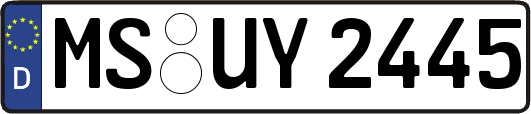 MS-UY2445