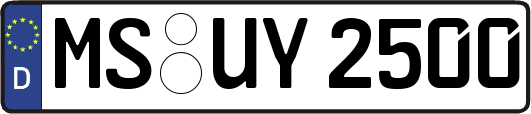 MS-UY2500