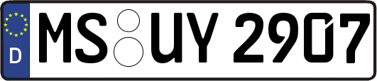 MS-UY2907