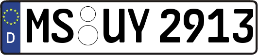 MS-UY2913