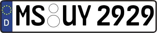 MS-UY2929