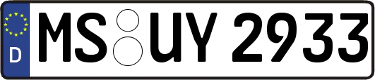 MS-UY2933