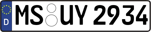 MS-UY2934
