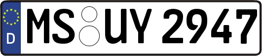 MS-UY2947