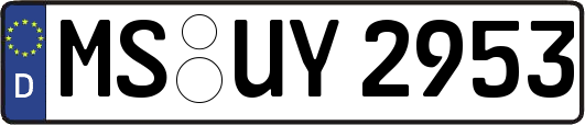 MS-UY2953