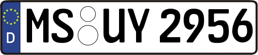MS-UY2956