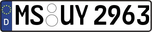 MS-UY2963
