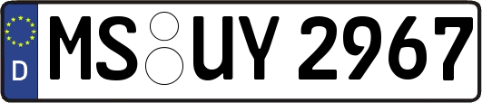 MS-UY2967