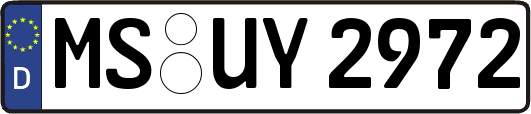 MS-UY2972