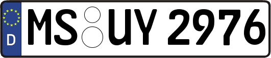 MS-UY2976