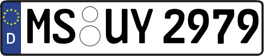 MS-UY2979