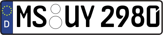 MS-UY2980