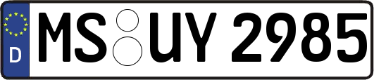 MS-UY2985