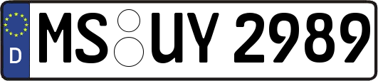 MS-UY2989