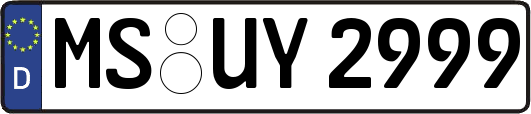 MS-UY2999