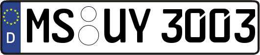 MS-UY3003
