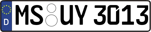 MS-UY3013